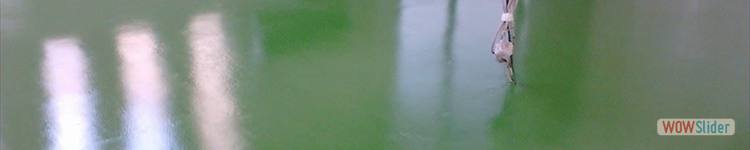 epoxy-sp4